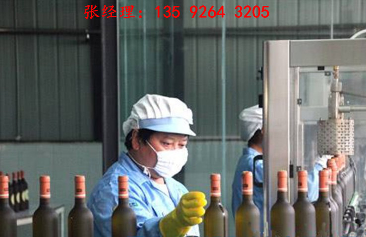 楊梅汁飲料生產(chǎn)線設(shè)備|小型楊梅酒生產(chǎn)加工設(shè)備多少錢(qián)