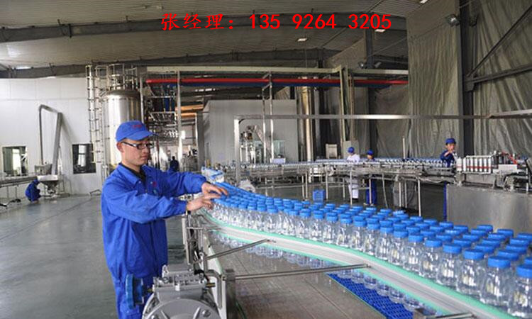 包裝飲用水瓶裝礦泉水生產(chǎn)線設(shè)備|時(shí)產(chǎn)2000瓶礦泉水設(shè)備價(jià)格