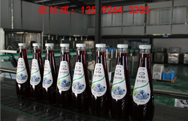 2000瓶每小時(shí)藍(lán)莓果酒生產(chǎn)線設(shè)備多少錢一套|藍(lán)莓汁生產(chǎn)設(shè)備